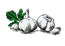 Garlic's Heads, Cloves And Fresh Parsley
