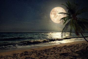 beautiful fantasy tropical beach with milky way star in night skies, full moon - retro style artwork