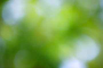 abstract of green bokeh background