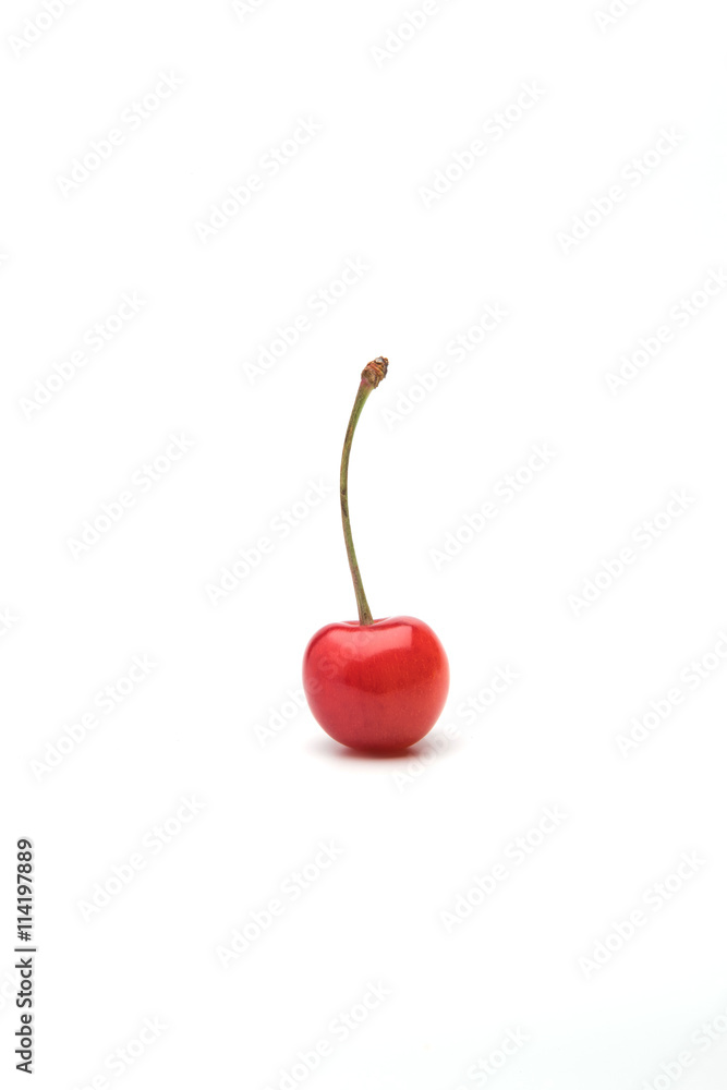 さくらんぼ(チェリー/Cherry) 1個 の Stock フォト | Adobe Stock