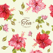 Vector herbal tea seamless pattern with hibiscus flowers.Background design for tea, homeopathy, herbal cosmetics, grocery,health care products. Best for fabric, textile, wrapping paper.
