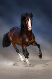 Fototapeta Konie - Bay horse with long mane run in sand against dark sky