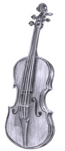 Black And White Pencil Drawing Of Vintage Violin On White