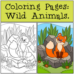 Wall Mural - Coloring Pages: Wild animals. Little cute baby fox