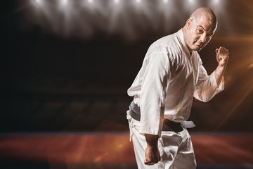 Poster - Composite image of fighter performing karate stance