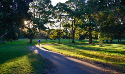 Wall Mural - Beautiful park in Sydney.