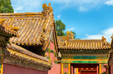 Canvas Print - Roof decorations in the Forbidden City, Beijing