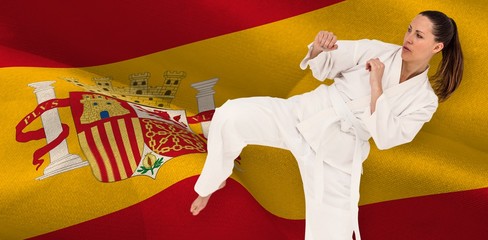 Poster - Composite image of fighter performing karate stance