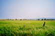 © Tyler Sharp - Wire fence on lush green farmland