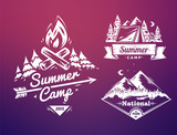 Fototapeta Londyn - Summer camp and national park  typography design on colored background