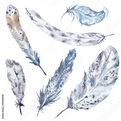 Tela Grey Watercolor Feather Set