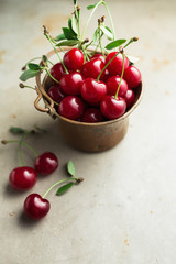 Freshly Picked Cherries With Stem And Leaves