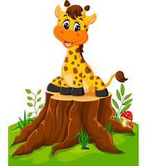 Wall Mural - Cute baby giraffe sitting on tree stump