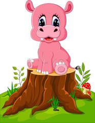 Wall Mural - Cartoon cute baby hippo on tree stump