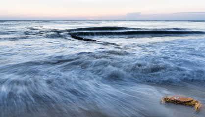 Fototapete - Wellenbewegung am Strand mit Krabbe