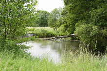 Bystrzyca River In Poland During Springtime