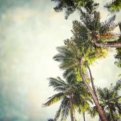 Wall Mural - tropical background