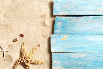 Marine life on blue wooden boards on the sand beach