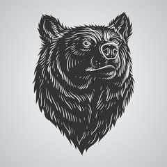 Bear head hand-draw