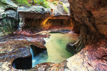 Canyon in Zion