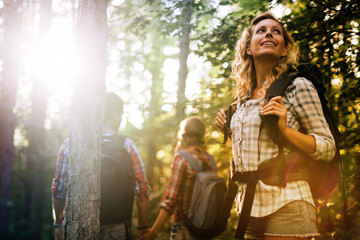 group of people hiking in forest