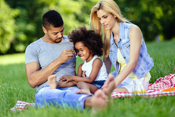 Wall Mural - Family enjoying picnic outing