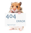 © Oleksiy Ilyashenko - Little hamster keeps paws white poster 404 error