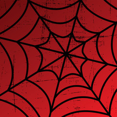 spider web art