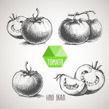 Set Of Hand Drawn Tomato. Organic Eco Food