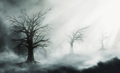 Wall Mural - Halloween spooky forest with mysterious .