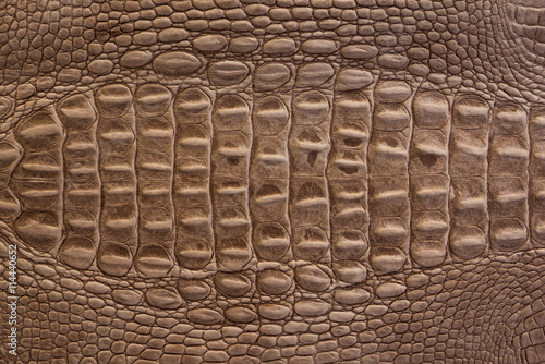 Как выглядит кожа крокодила Crocodile leather Stock Photo Adobe Stock