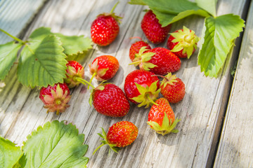 Wall Mural - berries ripe red strawberry lying on a wooden table