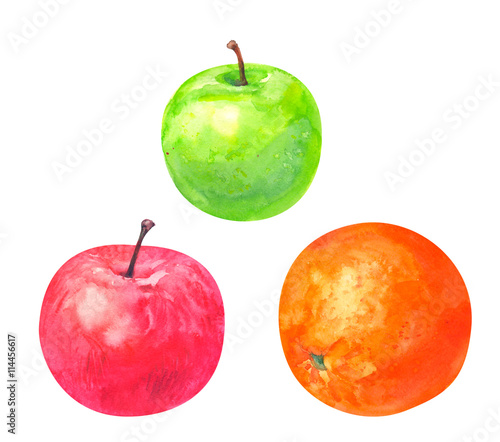 Orange Apples Red And Green On A White Background Watercolor
