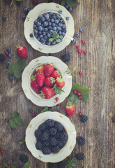 Wall Mural - fresh raspberry, red currunt and blueberry