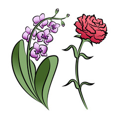 Set of two outlined flowers. Orchid and carnation