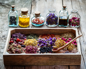 Wall Mural - Healing herbs in wooden box on table and bottles of tincture and