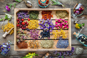 Wall Mural - Healing herbs in wooden box on table, herbal medicine, top view.