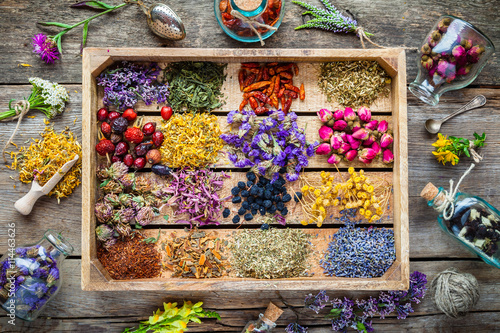 Fotografie, Obraz Healing herbs in wooden box on table, herbal medicine, top view.