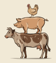 Farm Animals. Cow, Pig Chicken, Beef, Pork, Meat. Vector Illustration