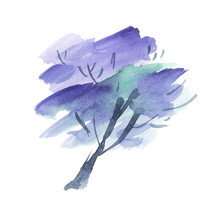 Painted Jacaranda Tree Blossom. Watercolor Hand Drawn Illustrati