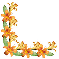 Floral pattern. Orange lily 