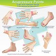 Massage Therapy Acupressure Points
