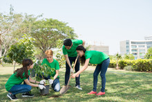 Group Of Asian Young People Planting Trees In City Park
