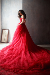 portrait of sensual woman in a long gorgeous red dress