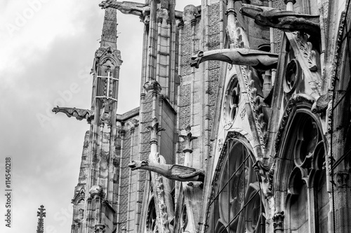 Fototapeta na szkło Katedra Notre Dame, Paryż, Francja