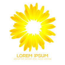 Beautiful Sunflower Icon, Design Element, Clip Art Illustration.