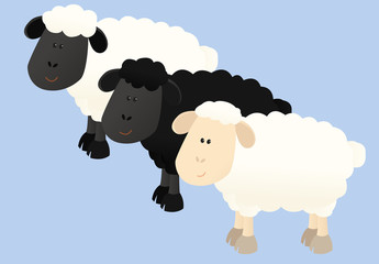 Three sheep