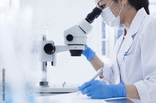 Fotomural Women researchers are taking notes while looking through the microscope