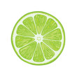 vector illustration of lime