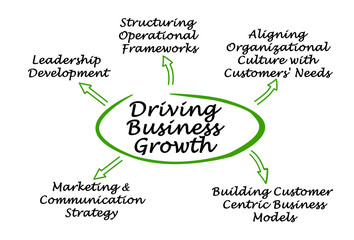 Canvas Print - Driving Business Growth